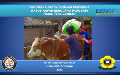 Animal Science Study Program of FPP Universitas Diponegoro : Pay attention to the Cows Farmer Need