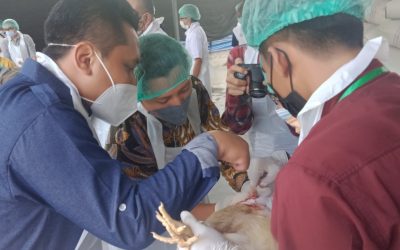 Poultry Production Laboratory of Faculty of Animal and Agricultural Sciences Undip Collaborates with JHTC to Hold Juleha Assistance