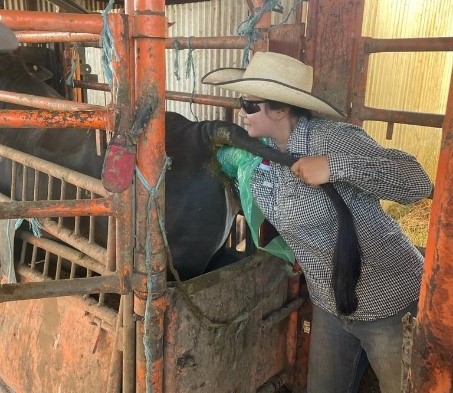 Tania Anggi Leo Putri : Serunya Magang pada Peternakan Sapi  di Australia Bersama NTCA